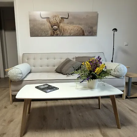 Apartment Schwarzwald Von Oben - Kniebis *