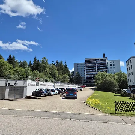 Schwarzwald Von Oben - Kniebis Apartment Freudenstadt