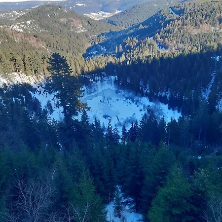 Schwarzwald Von Oben - Kniebis 公寓 弗罗伊登施塔特