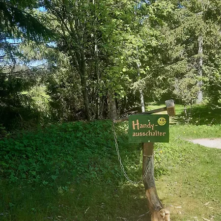 Schwarzwald Von Oben - Kniebis 公寓 弗罗伊登施塔特