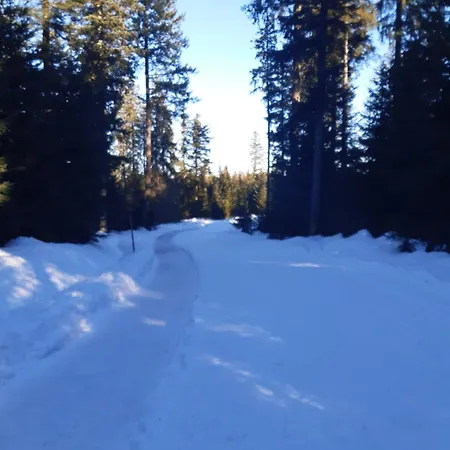 Schwarzwald Von Oben - Kniebis 弗罗伊登施塔特