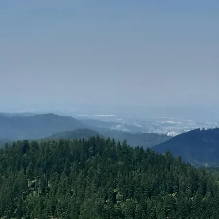 Schwarzwald Von Oben - Kniebis