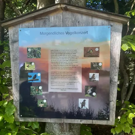 公寓 Schwarzwald Von Oben - Kniebis