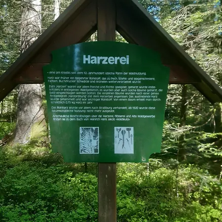 Schwarzwald Von Oben - Kniebis Freudenstadt