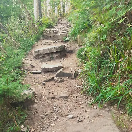 Schwarzwald Von Oben - Kniebis * Freudenstadt
