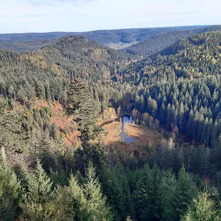 Schwarzwald Von Oben - Kniebis 公寓