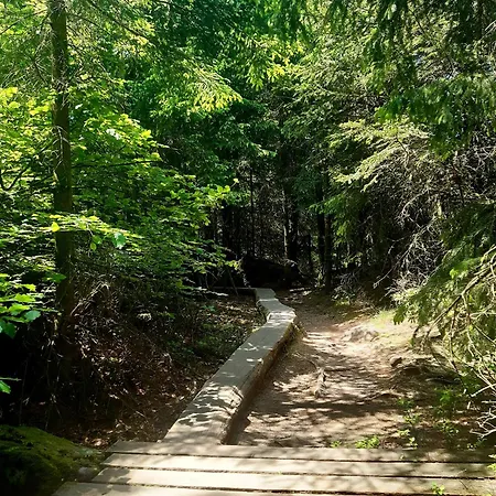 Apartment Schwarzwald Von Oben - Kniebis Freudenstadt