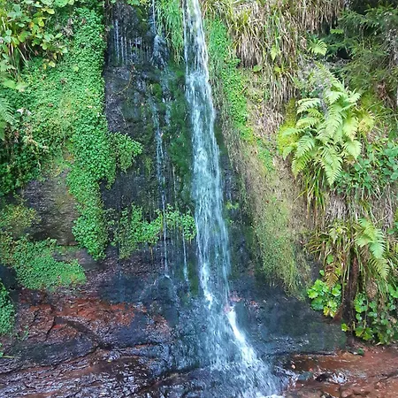 Schwarzwald Von Oben - Kniebis *