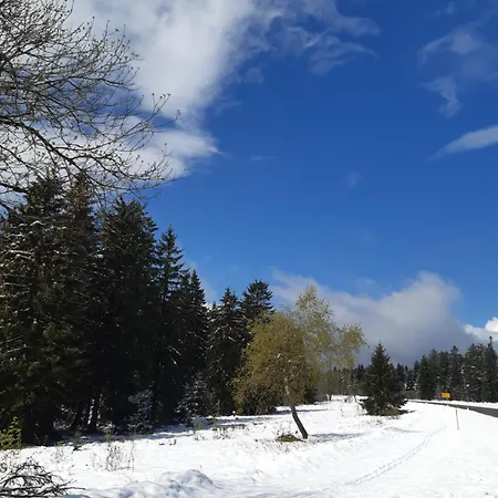 公寓 Schwarzwald Von Oben - Kniebis 弗罗伊登施塔特