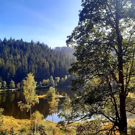 Schwarzwald Von Oben - Kniebis 公寓