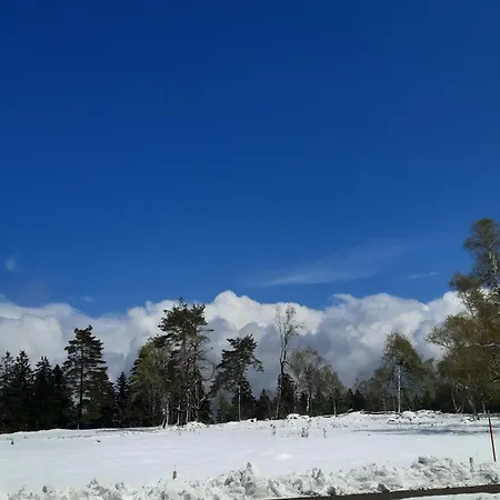 Schwarzwald Von Oben - Kniebis
