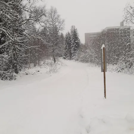 Schwarzwald Von Oben - Kniebis *