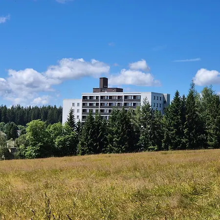 Apartment Schwarzwald Von Oben - Kniebis