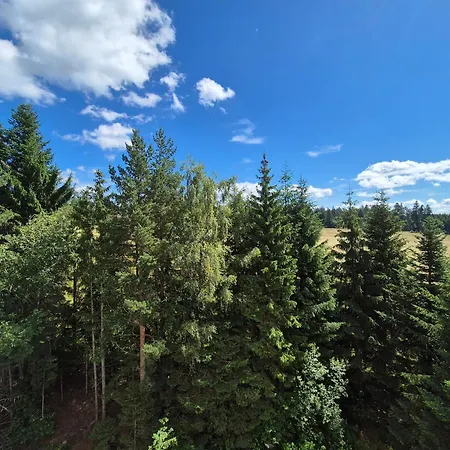 公寓 Schwarzwald Von Oben - Kniebis *