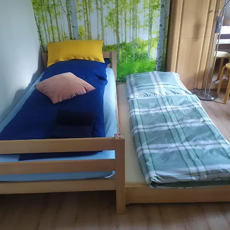 Schwarzwald Von Oben - Kniebis * 弗罗伊登施塔特