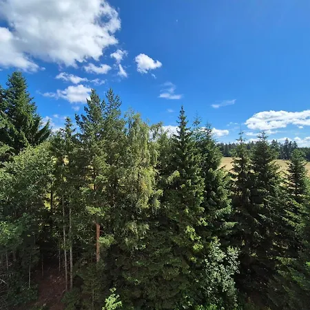 Schwarzwald Von Oben - Kniebis * Freudenstadt