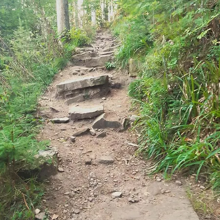 Schwarzwald Von Oben - Kniebis