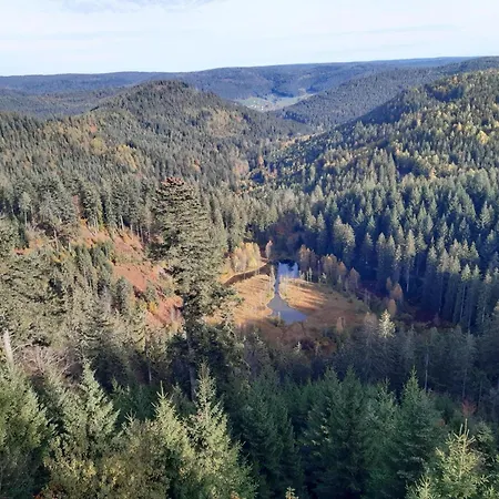 Schwarzwald Von Oben - Kniebis * Freudenstadt